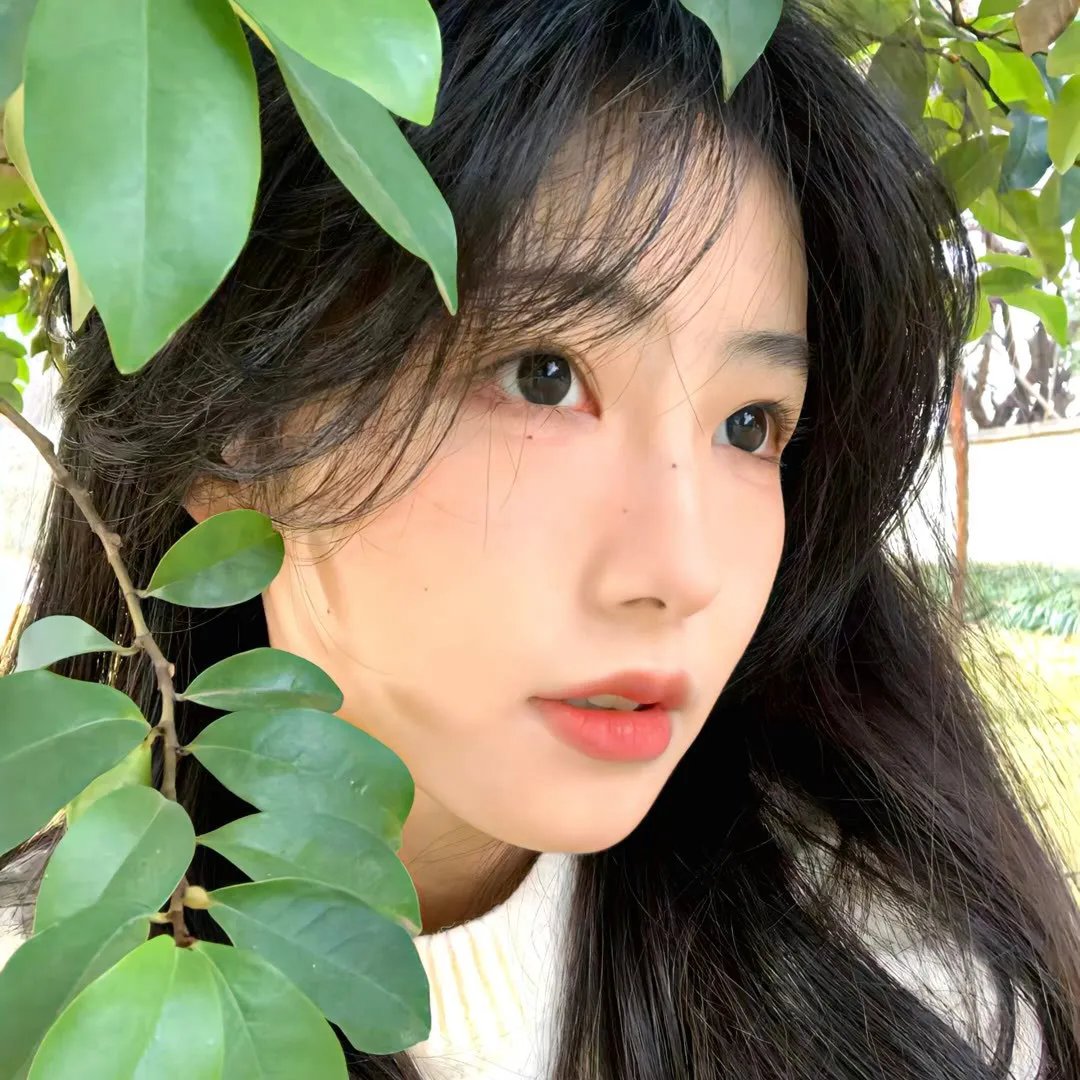 茶啊二中第三季